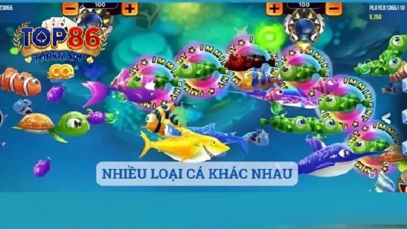 Đa Dạng Phòng Chơi Bắn Cá Tại TOP86